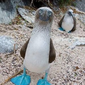 Meet your Posher, Jay